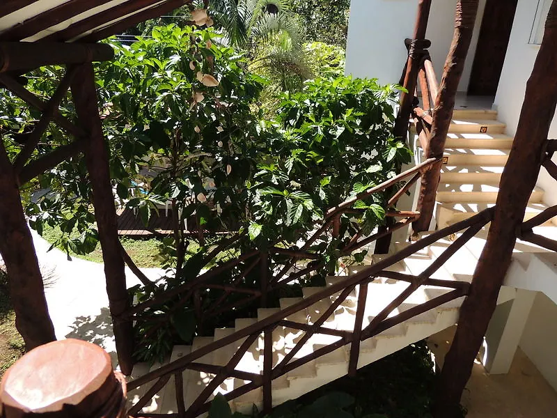 Casaejido Hotel Playa del Carmen 3*,