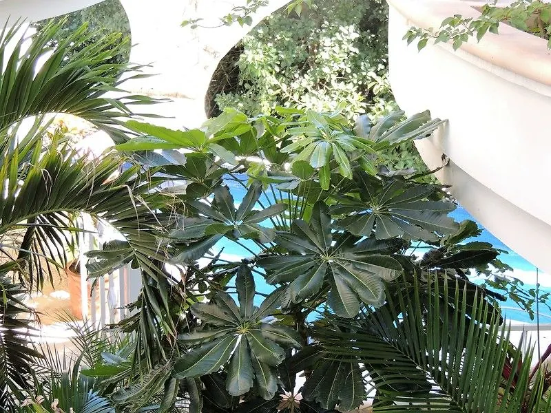 Hotel Casaejido à Playa del Carmen