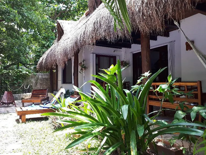 Casaejido Hotel Playa del Carmen 3*,