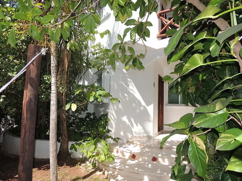 Casaejido Hotel Playa del Carmen Mexico