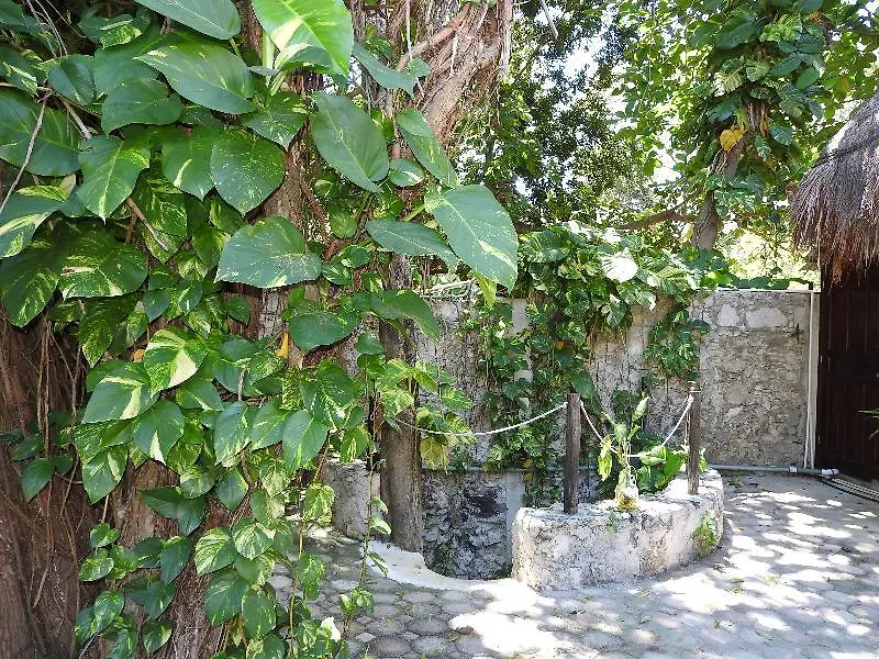 Casaejido Hotel Playa del Carmen