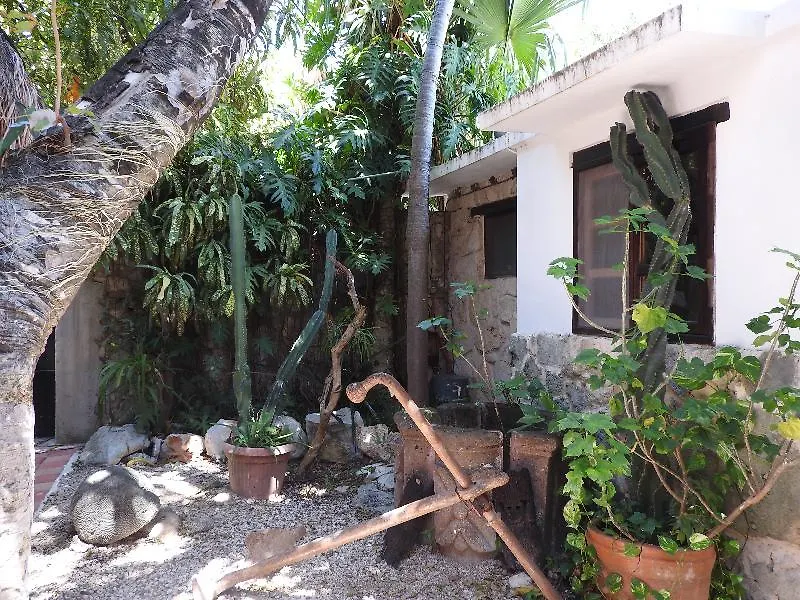 Casaejido Hotel Playa del Carmen